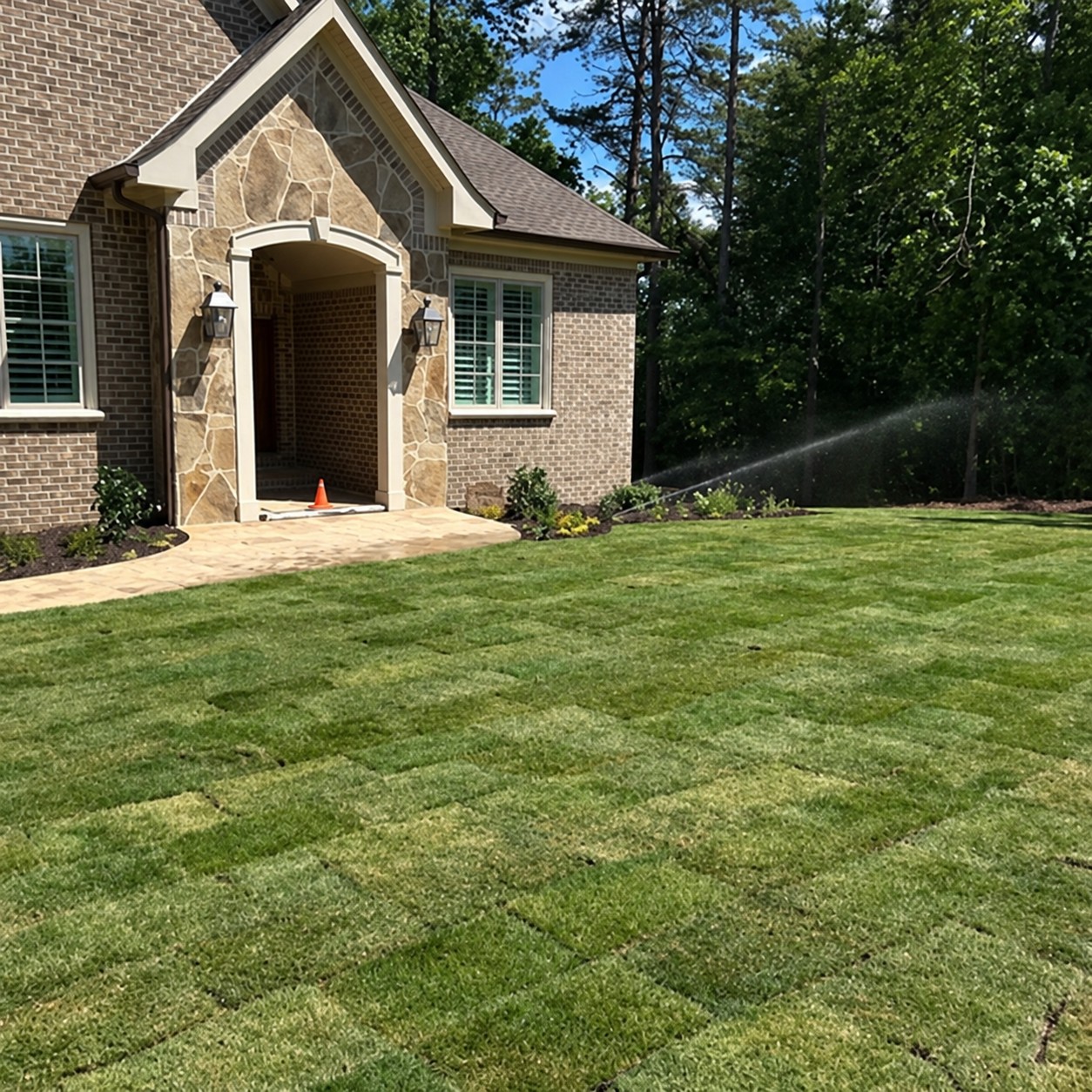 New sod lawn