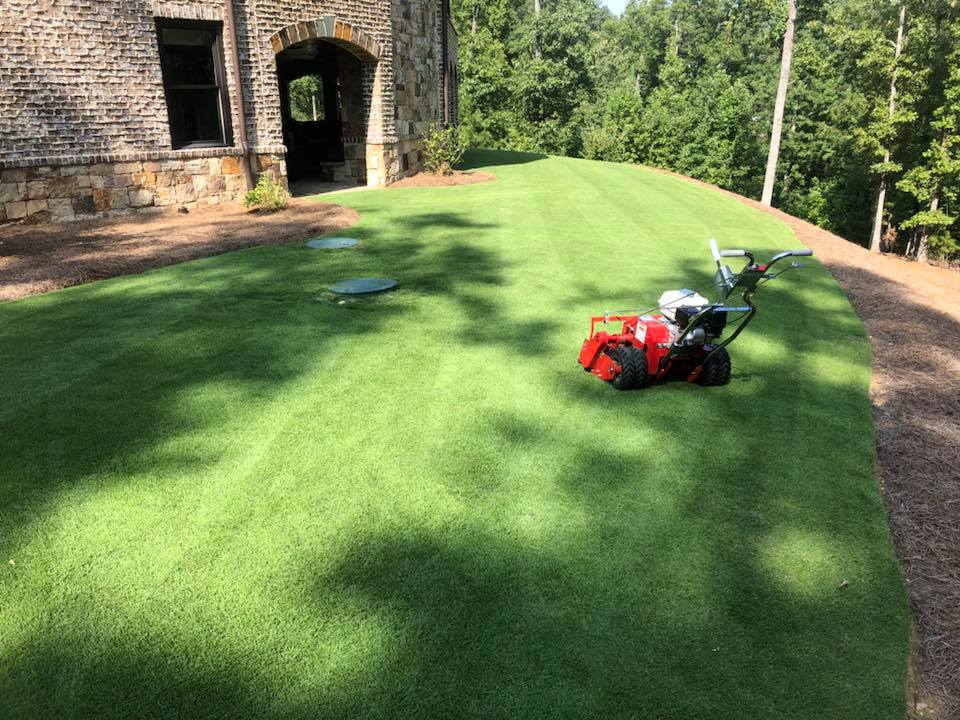 Landscape project photo from Live Oaks Landscapes