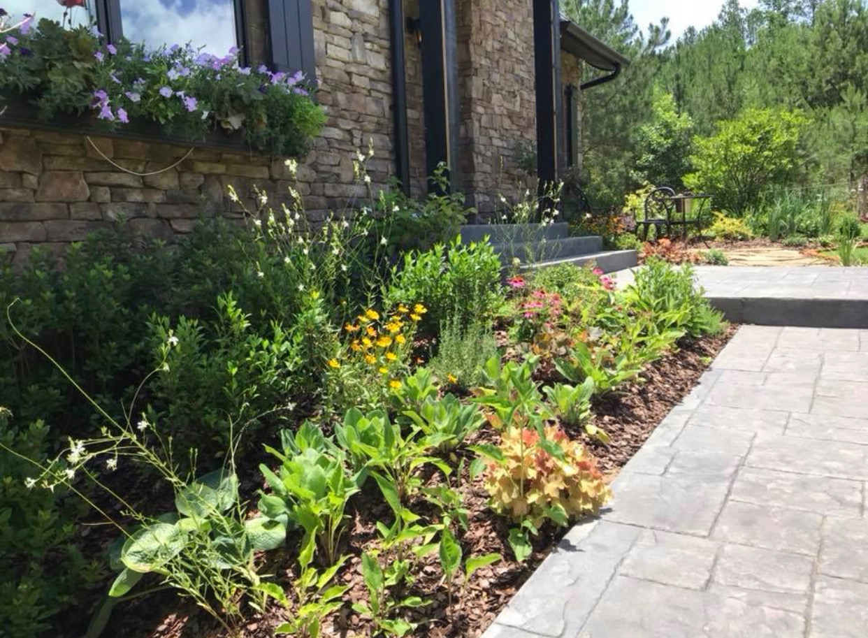 Landscape project photo from Live Oaks Landscapes
